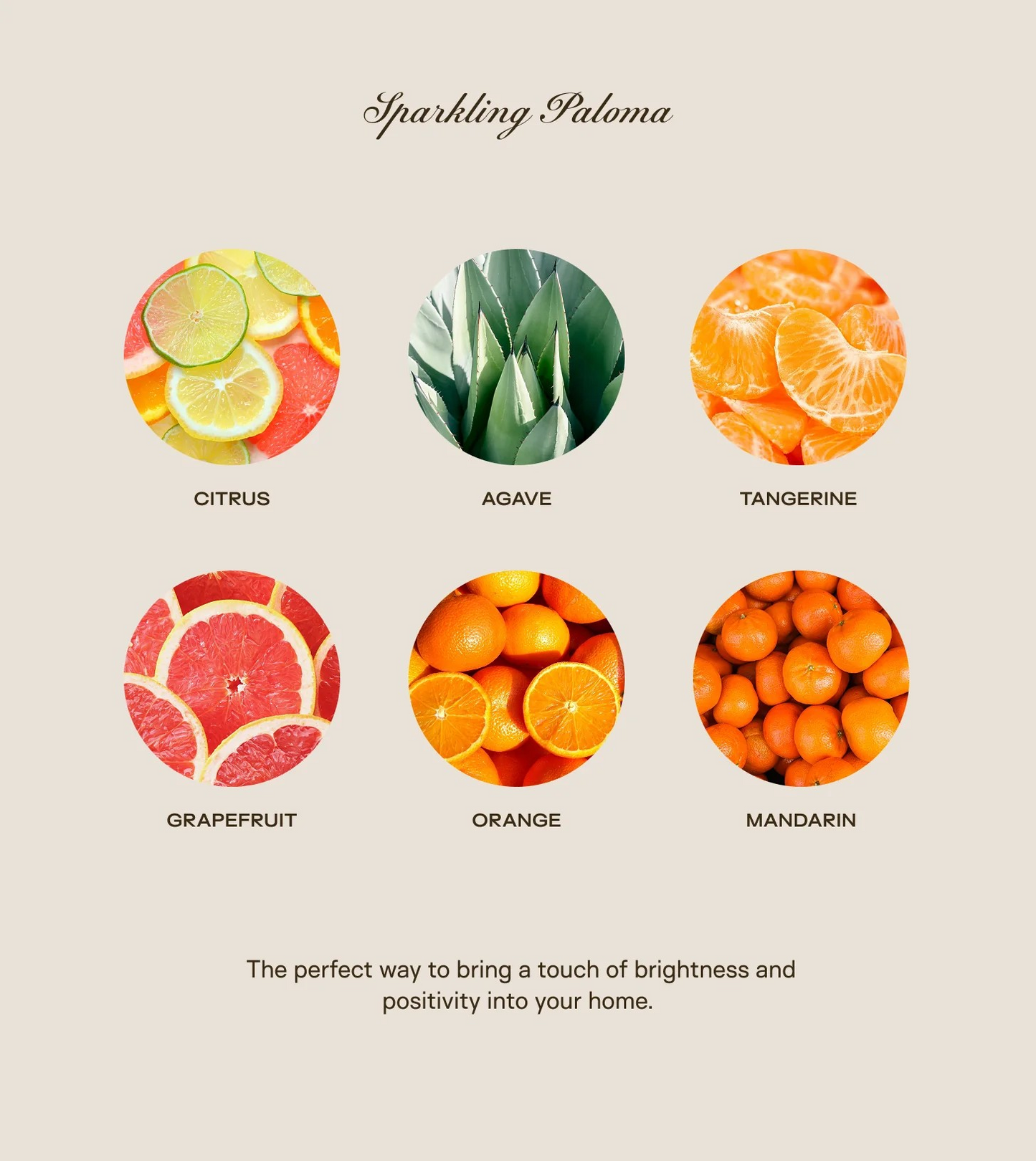 Sparkling Paloma | 150oz Candle