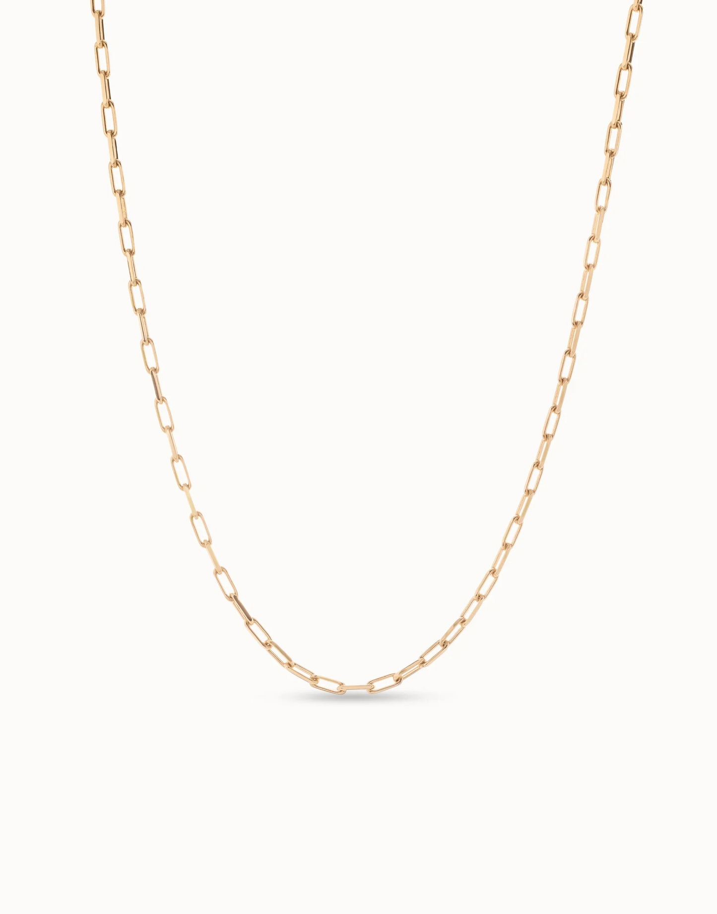 Long Paperclip Chain
