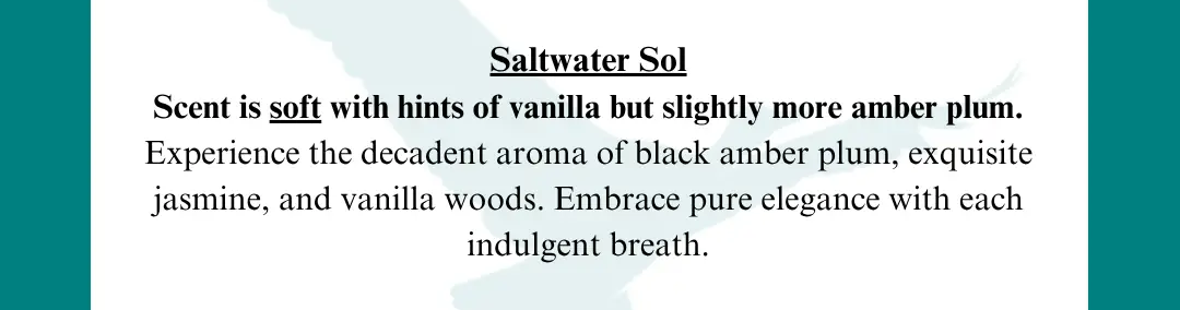 Saltwater Sol Laundry Detergent | MS. Candle Company