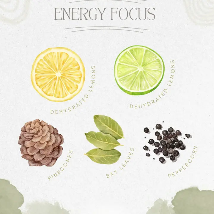 Energy Focus | Simmer Pot
