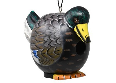 Duck Mallard Gordo