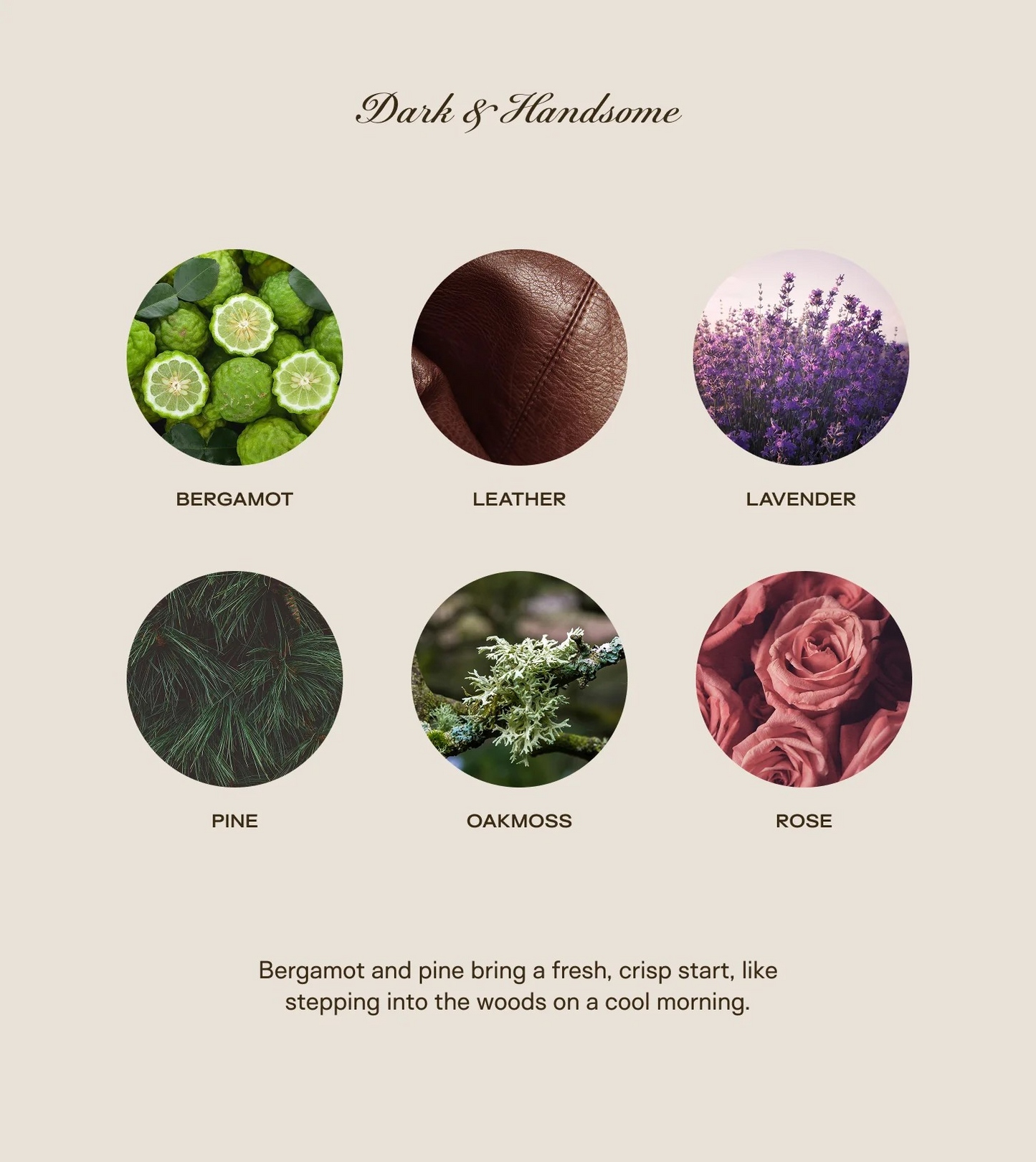 Dark & Handsome | 150oz. Candle