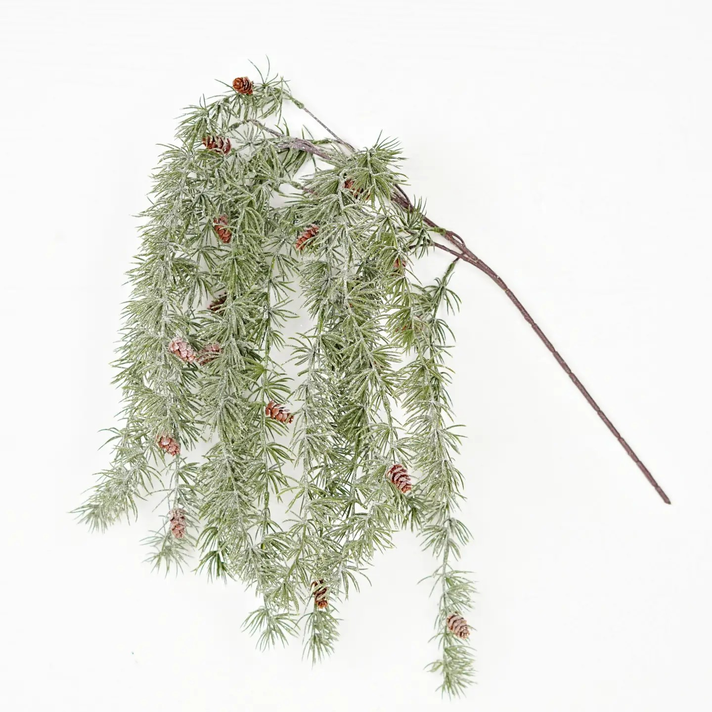 Sparkle Dripping Bush Blossom Needle Pine