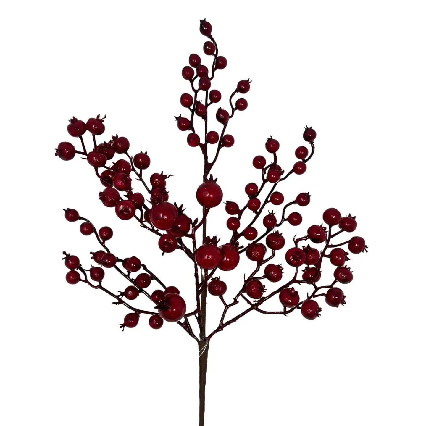 Crab Apple Berry Pick