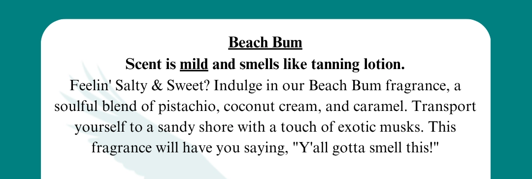 Beach Bum | All Purpose Cleaner | MS. Candle Company