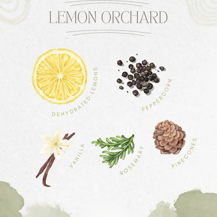 Lemon Orchard | Simmer Pot