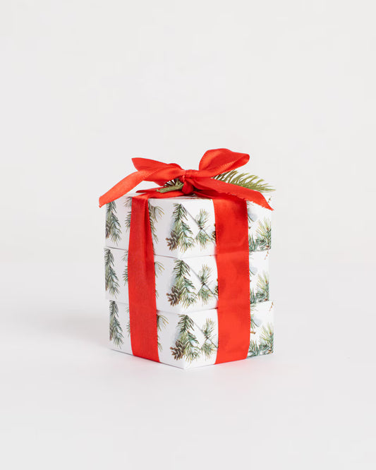 Evergreen Christmas Bar Soap