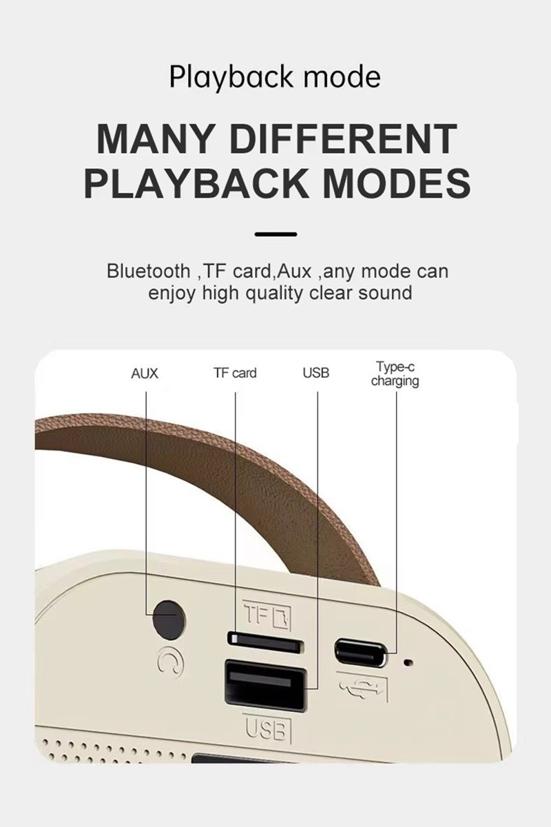 Karaoke Bluetooth Speaker
