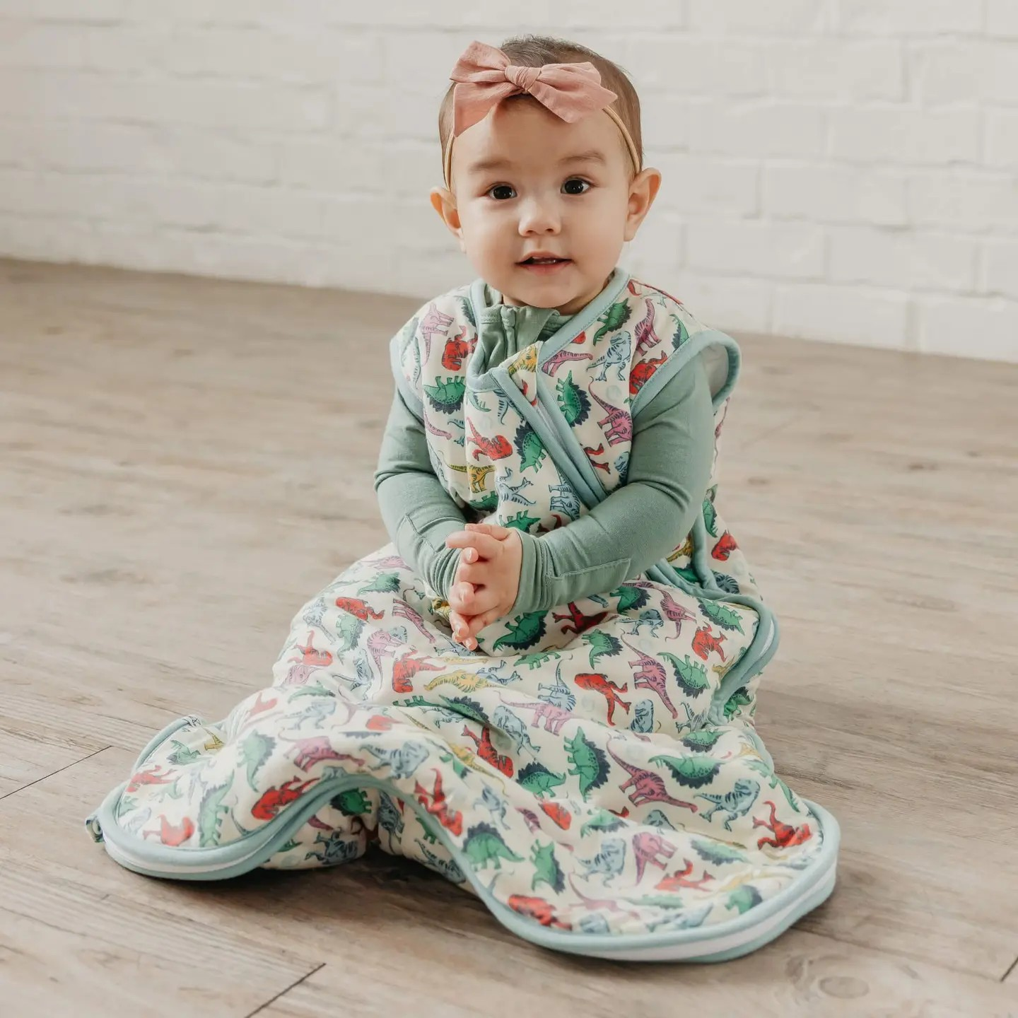 Dinosaurs of Jurassic Park Sleep Bag | Copper Pearl