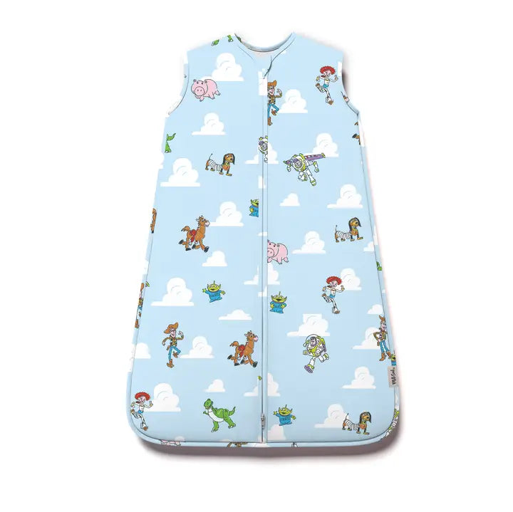 Disney Toy Story Sleep Sack | 6-18M