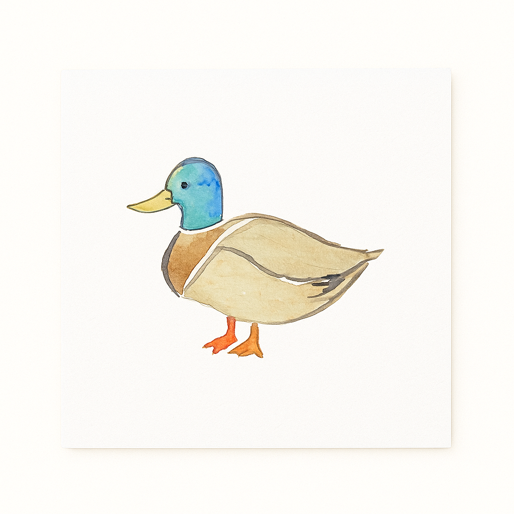 Duck Notecards