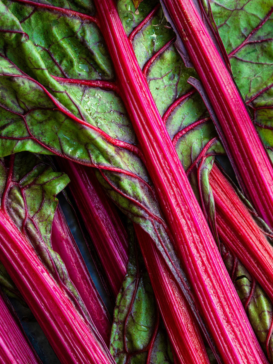 Rhubarb Honey | Smart Vial | ILLUME