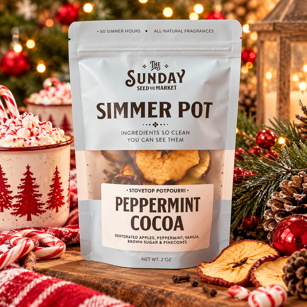 Simmer Pot | Peppermint Mocha