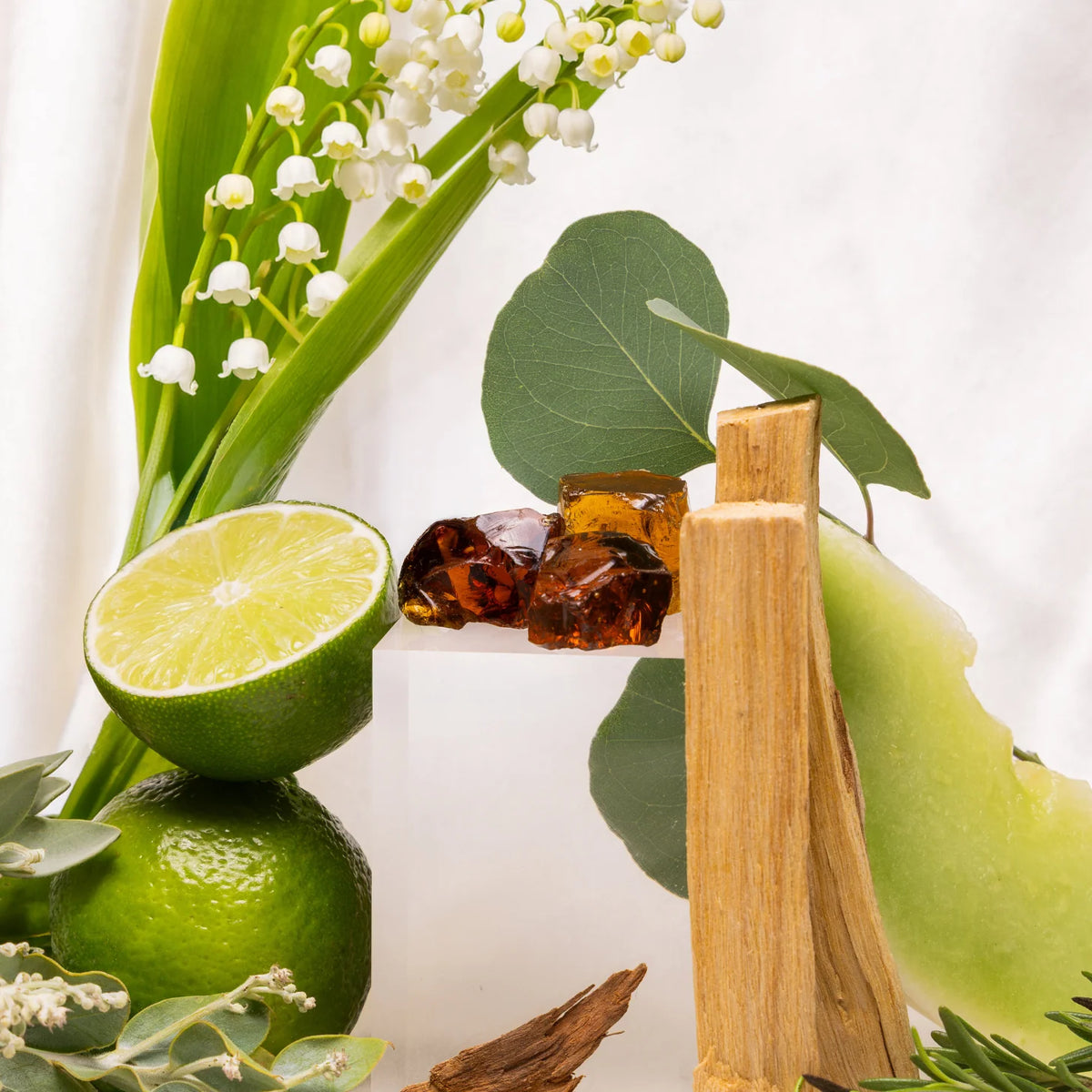 Santal No. V