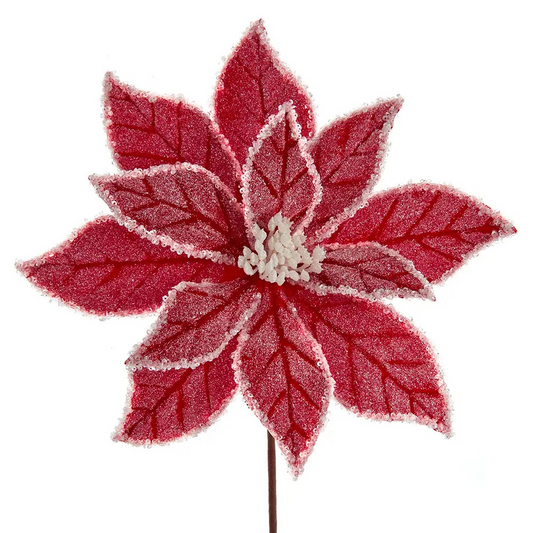 14"Frosted Red Velvet Poinsettia