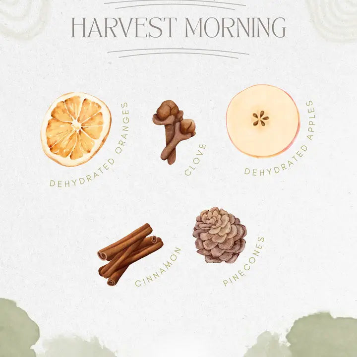 Harvest Morning | Simmer Pot