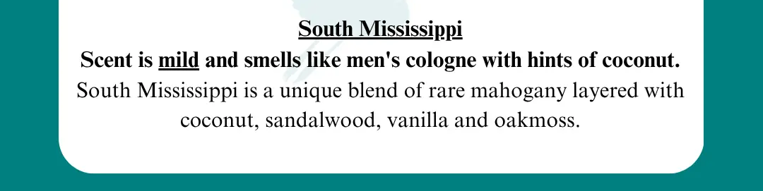 South Mississippi | All Purpose Cleaner | MS. Candle Company