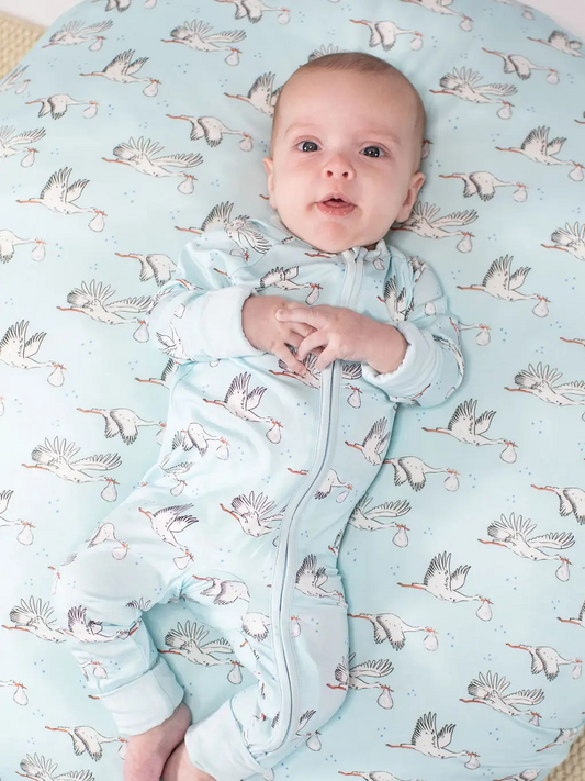 Baby Boy Stork Everything Blanket
