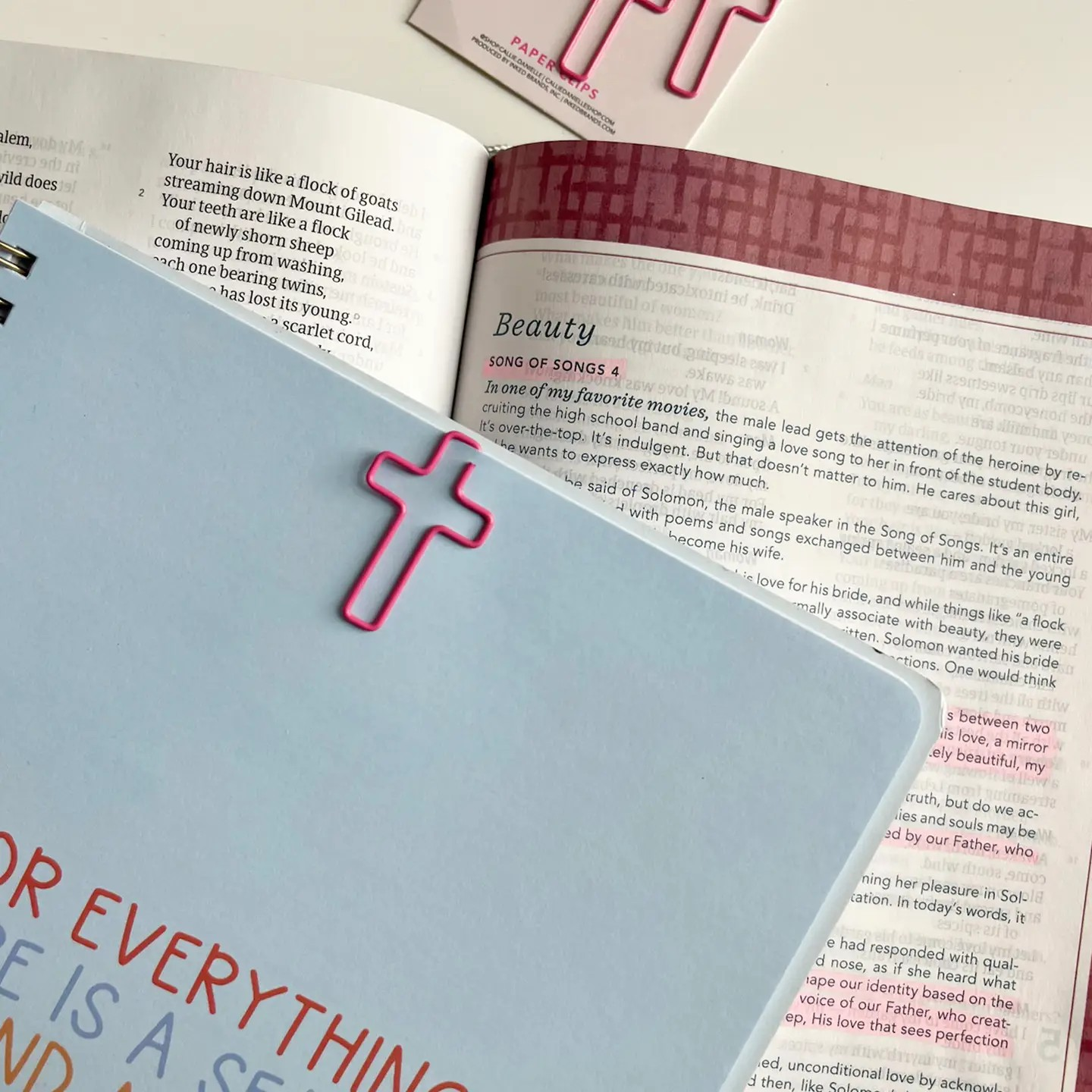 Pink Cross Paperclips | Callie Danielle