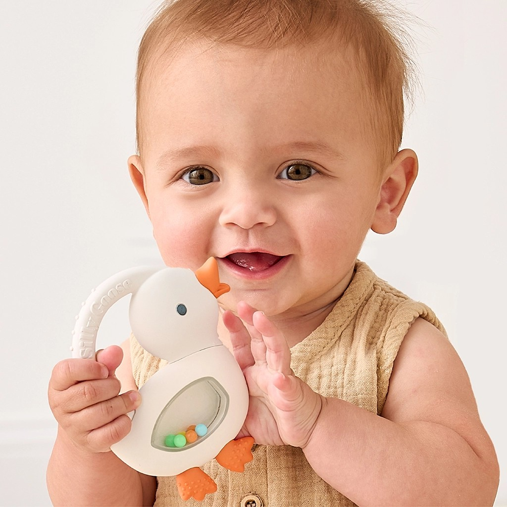 Bitzy Shake Silicone Rattle