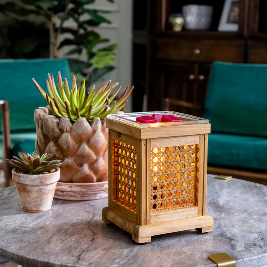 Wood & Cane Fragrance Warmer