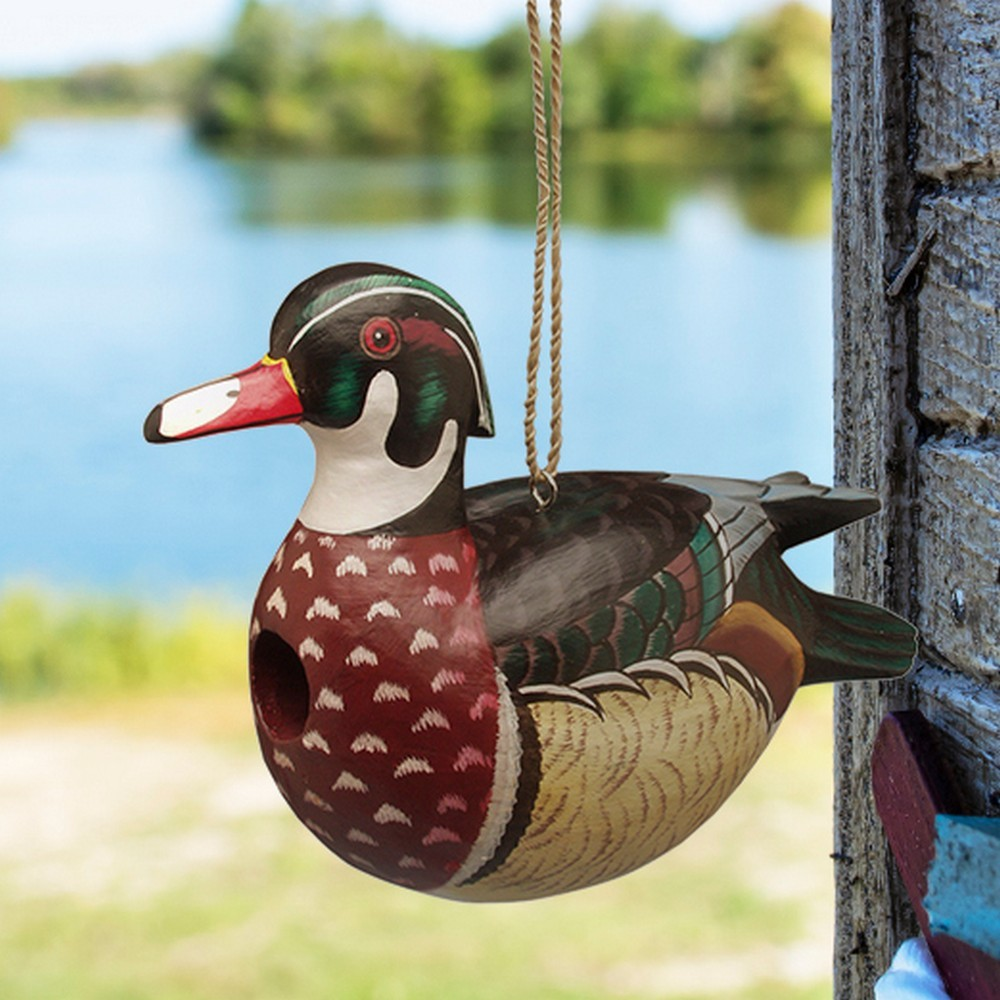 Wood Duck Bird House