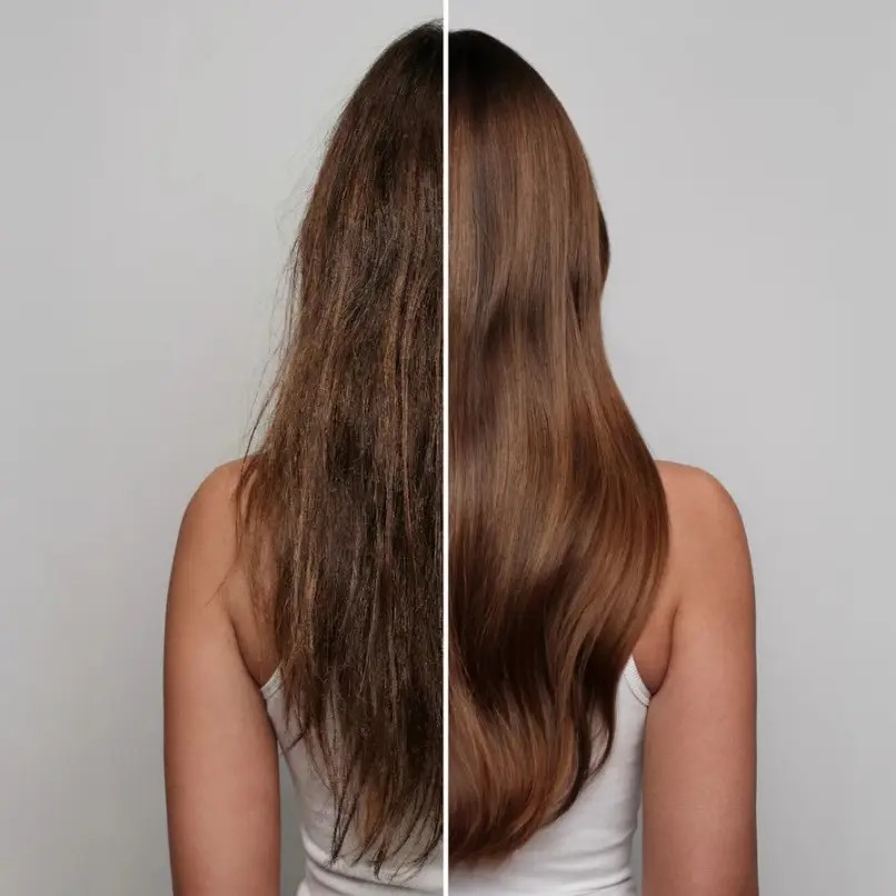 Frizz Sheild Spray | kit sch