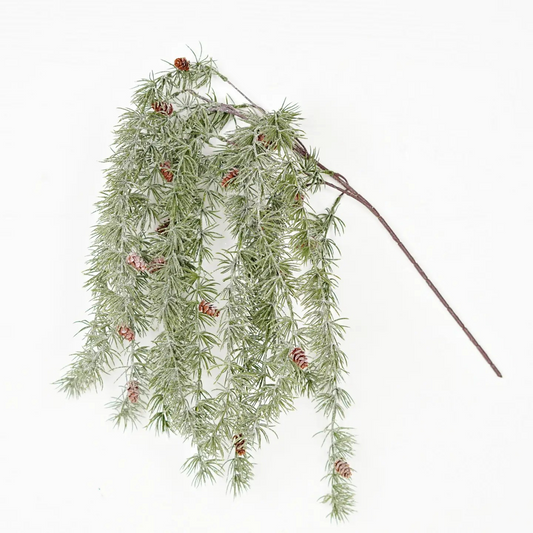 Sparkle Dripping Bush Blossom Needle Pine
