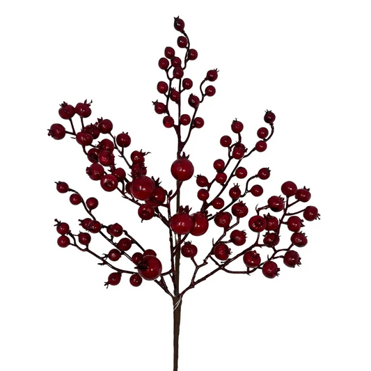 Crab Apple Berry Pick