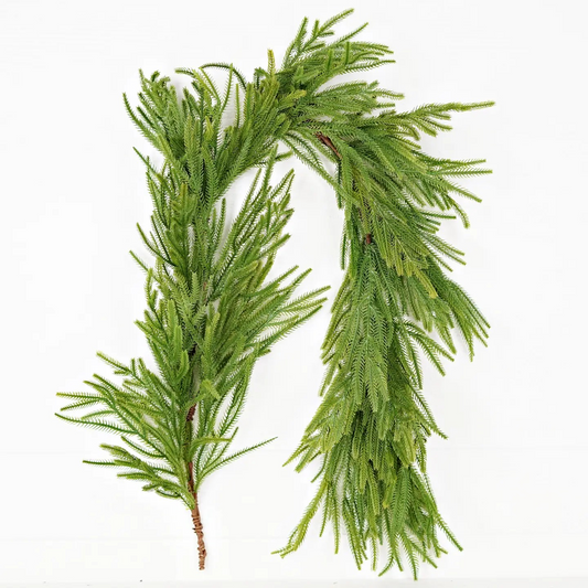 6ft Norfolk Pine Garland